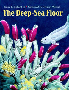 The Deep-Sea Floor 