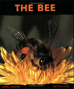 The Bee 