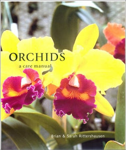 Orchids 