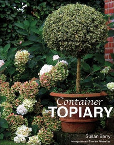 Container Topiary 