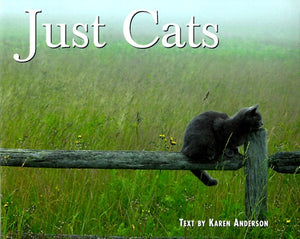 Just Cats 