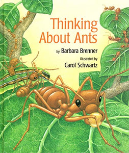 Thinking about Ants 