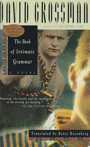 The Book of Intimate Grammar 