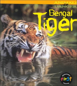 Bengal Tiger 