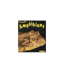 Amphibians 