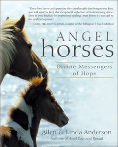 Angel Horses 