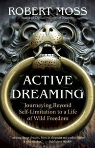 Active Dreaming 