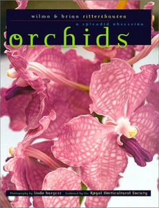 Orchids 