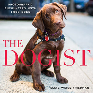 The Dogist 