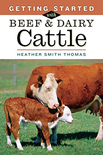 Getting Started with Beef & Dairy Cattle