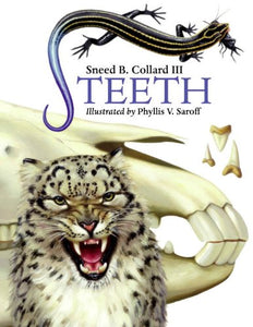 Teeth 