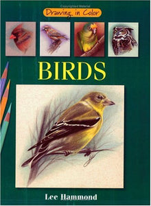 Drawing in Color: Birds 