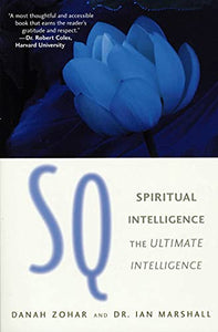 Connecting with Our Spiritual Intelligence 