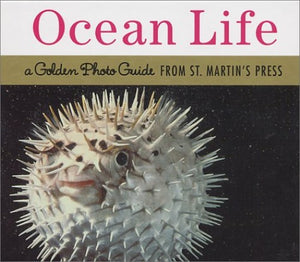 Ocean Life Photo Guide 