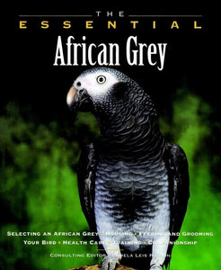 The Essential African Grey 