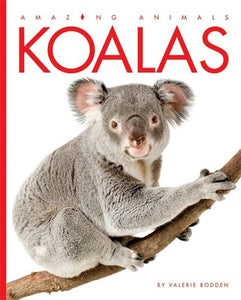 Koalas 