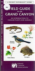 Grand Canyon, Field Guide to the 