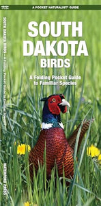 South Dakota Birds 