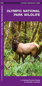 Olympic National Park Wildlife 