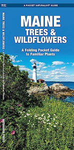 Maine Trees & Wildflowers 