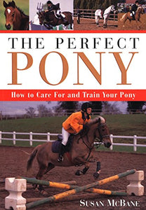 Perfect Pony 