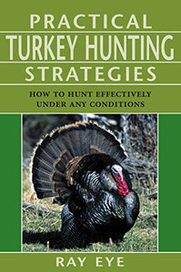 Practical Turkey Hunting Strategies 