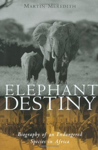 Elephant Destiny 