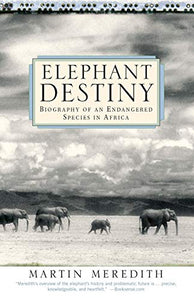 Elephant Destiny 