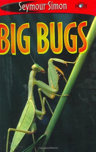 Big Bugs 