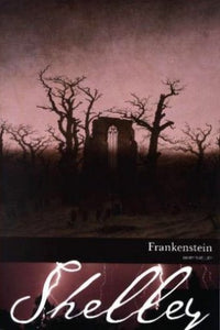 Frankenstein, or The Modern Prometheus 