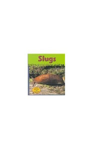 Slugs 