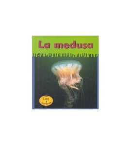 La Medusa 