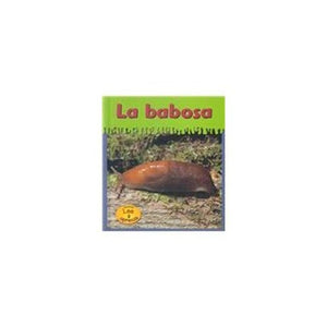 La Babosa 