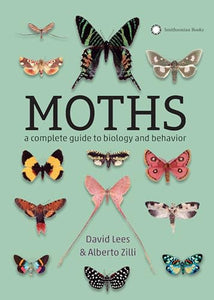 Moths 