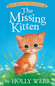 The Missing Kitten 