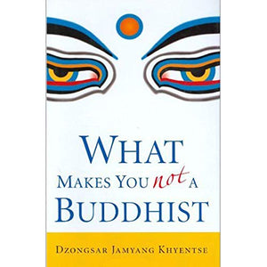 What Makes You Not a Buddhist 