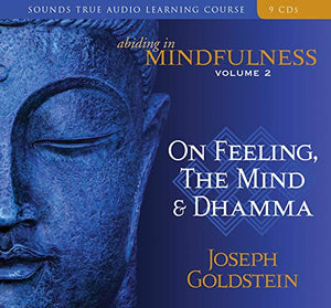 Abiding in Mindfulness 