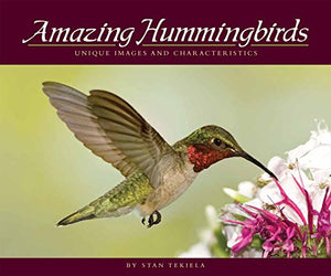 Amazing Hummingbirds 