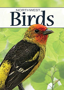 Birds of the Northwest Playing Cards 