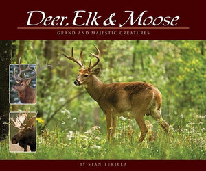 Deer, Elk & Moose 