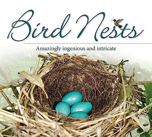 Bird Nests 