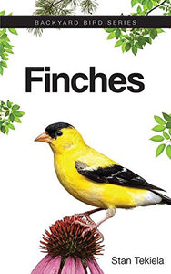 Finches 