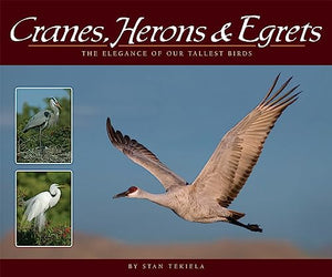 Cranes, Herons & Egrets 