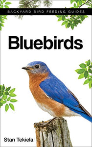 Bluebirds 