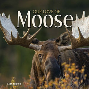 Our Love of Moose 