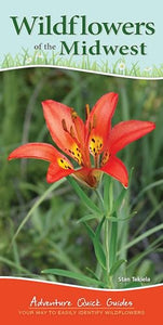 Wildflowers of the Midwest 