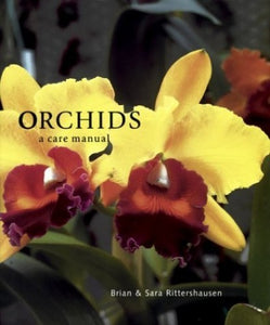 Orchids 