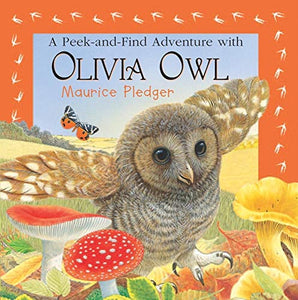 A Peek-And-Find Adventure with Olivia Owl 