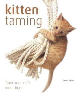 Kitten Taming 