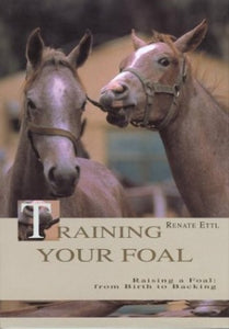 Training Your Foal 